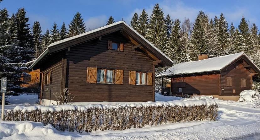 Ferienhaus-Blockhutte Im Fichtelgebirge - Nagler See 2 Km Nagel Exterior photo