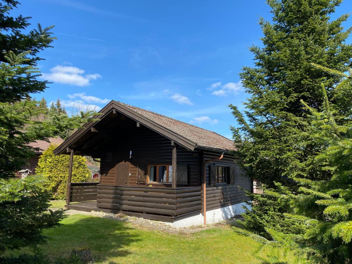 Ferienhaus-Blockhutte Im Fichtelgebirge - Nagler See 2 Km Nagel Exterior photo